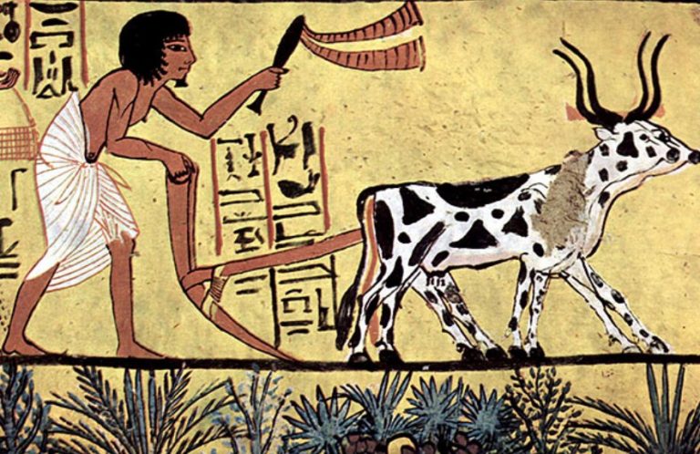 Rozprzestrzenianie się rolnictwa w czasach neolitu